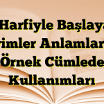 A Harfiyle Başlayan Deyimler Anlamları ve Örnek Cümlede Kullanımları