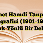 Ahmet Hamdi Tanpınar Biyografisi (1901-1962) , Çok Yönlü Bir Deha