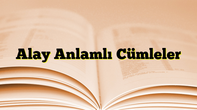 Alay Anlamlı Cümleler