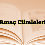 Amaç Cümleleri