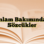 Anlam Bakımından Sözcükler