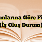 Anlamlarına Göre Fiiller, (İş Oluş Durum)