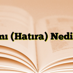 Anı (Hatıra) Nedir?