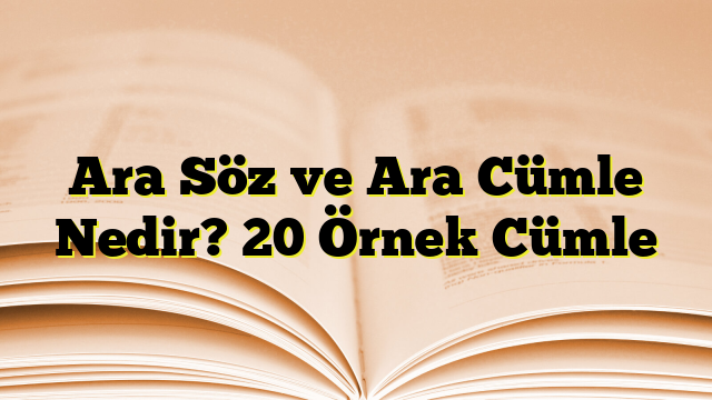 Ara Söz ve Ara Cümle Nedir? 20 Örnek Cümle