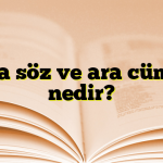 Ara söz ve ara cümle nedir?