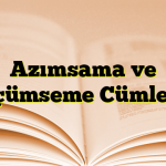 Azımsama ve Küçümseme Cümleleri