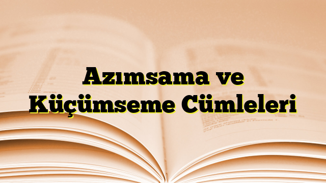 Azımsama ve Küçümseme Cümleleri