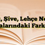 Ağız, Şive, Lehçe Nedir? Aralarındaki Farklar