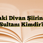 Baki Divan Şiirinin Sultanı Kimdir?