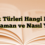 Balık Türleri Hangi Balık Ne Zaman ve Nasıl Yenir