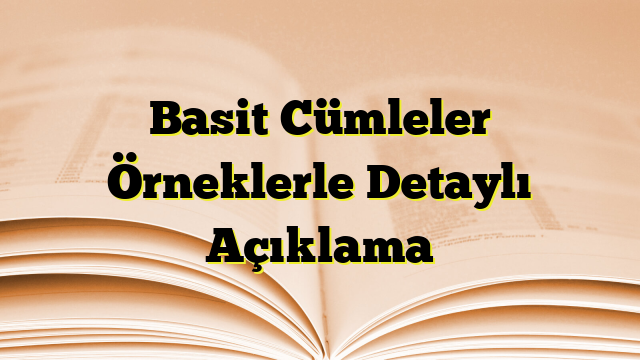 Basit Cümleler Örneklerle Detaylı Açıklama