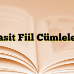 Basit Fiil Cümleleri