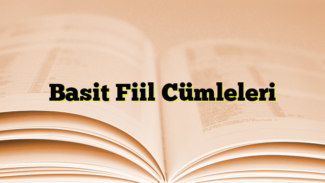 Basit Fiil Cümleleri