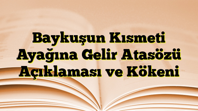 Baykuşun Kısmeti Ayağına Gelir Atasözü Açıklaması ve Kökeni