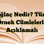 Bağlaç Nedir? Tümü Örnek Cümlelerle Açıklamalı