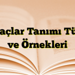 Bağlaçlar Tanımı Türleri ve Örnekleri