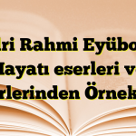 Bedri Rahmi Eyüboğlu Hayatı eserleri ve Şiirlerinden Örnekler