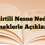 Belirtili Nesne Nedir? Örneklerle Açıklama