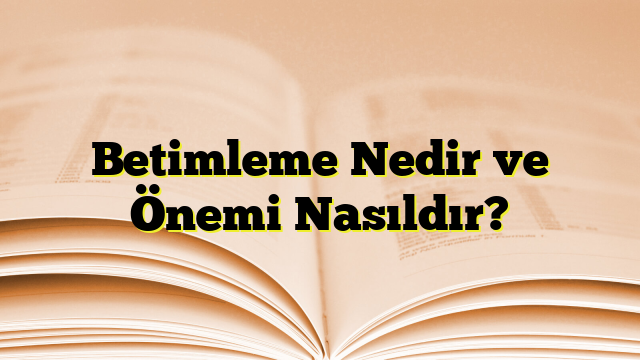 Betimleme Nedir ve Önemi Nasıldır?