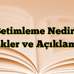 Betimleme Nedir? Örnekler ve Açıklamalar