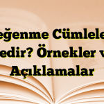 Beğenme Cümleleri Nedir? Örnekler ve Açıklamalar