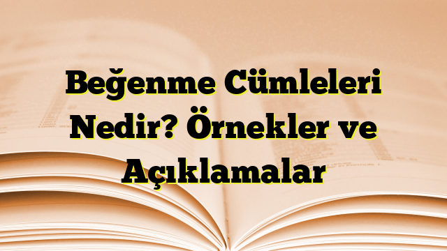 Beğenme Cümleleri Nedir? Örnekler ve Açıklamalar