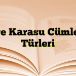 Bilge Karasu Cümlenin Türleri