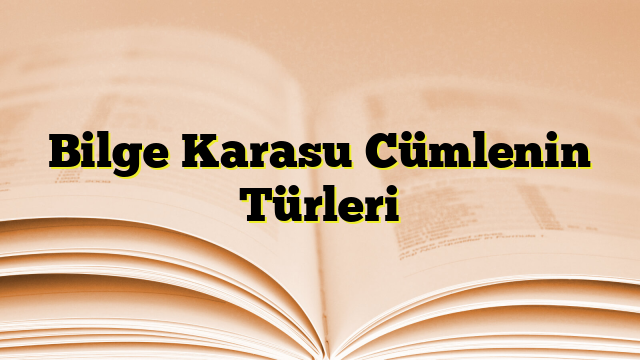 Bilge Karasu Cümlenin Türleri