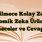 Bilmece Kolay Zor Komik Zeka Ürünü Bilmeceler ve Cevapları