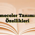 Bilmeceler Tanımı ve Özellikleri