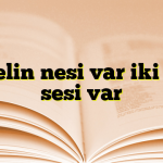 Bir elin nesi var iki elin sesi var