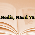 Blog Nedir, Nasıl Yazılır?