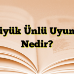 Büyük Ünlü Uyumu Nedir?