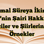 Cemal Süreya İkinci Yeni’nin Şairi Hakkında Bilgiler ve Şiirlerinden Örnekler