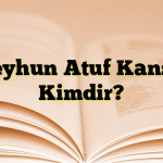 Ceyhun Atuf Kansu Kimdir?