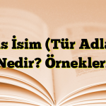 Cins İsim (Tür Adları) Nedir? Örnekleri