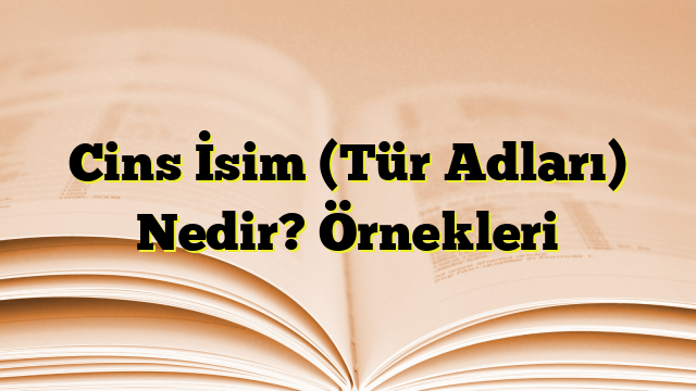 Cins İsim (Tür Adları) Nedir? Örnekleri