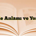 Cümle Anlamı ve Yorumu