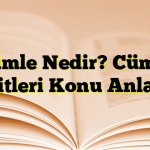 Cümle Nedir? Cümle Çeşitleri Konu Anlatım