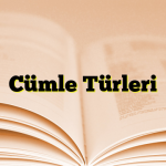 Cümle Türleri