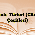 Cümle Türleri (Cümle Çeşitleri)