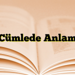 Cümlede Anlam