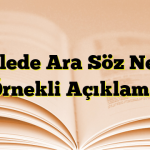 Cümlede Ara Söz Nedir? Örnekli Açıklama