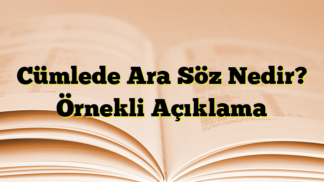 Cümlede Ara Söz Nedir? Örnekli Açıklama