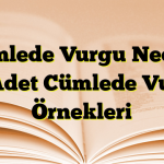 Cümlede Vurgu Nedir? 20 Adet Cümlede Vurgu Örnekleri