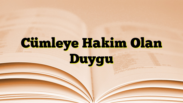 Cümleye Hakim Olan Duygu