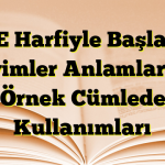 D – E Harfiyle Başlayan Deyimler Anlamları ve Örnek Cümlede Kullanımları