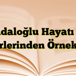 Dadaloğlu Hayatı ve Şiirlerinden Örnekler