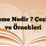 Deneme Nedir ? Çeşitleri ve Örnekleri