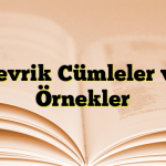 Devrik Cümleler ve Örnekler